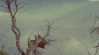 Ini Sisi Lain Kecantikan Gunung Bromo