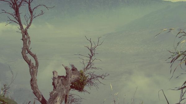 Ini Sisi Lain Kecantikan Gunung Bromo