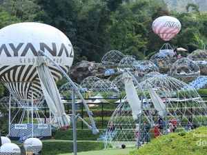 Ini Taman Instagrammable di Candi Gedung Songo