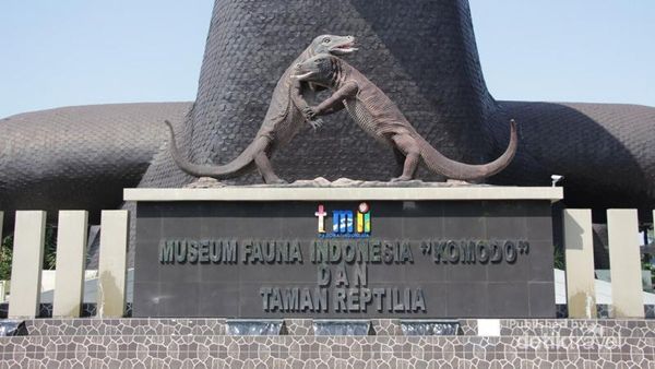 Ini Tempat Melihat Komodo di Jakarta