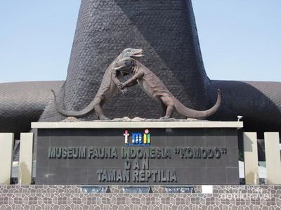 Ini Tempat Melihat Komodo di Jakarta