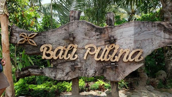 Ini Tempat Minum Kopi yang Instagenic Ubud Bali