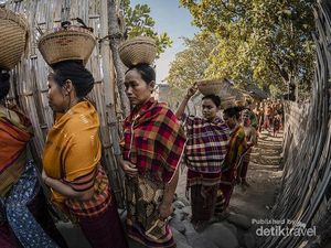 Ini Tradisi Maulid Lombok yang Jarang Orang Tahu
