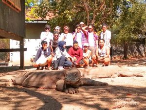 Inikah Rasanya Bertemu Komodo?