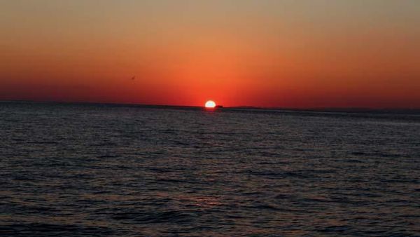 Inilah Keindahan Pulau Komodo yang Harus Anda Lihat