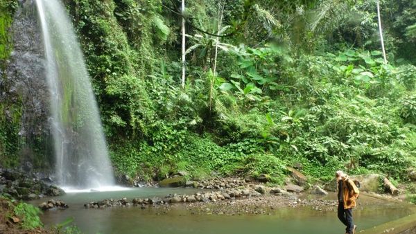 Jangan Sampai Lewat, Cantiknya Air Terjun Perawan dari Lampung