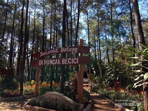 Jejak Barack Obama di Yogyakarta