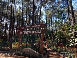 Jejak Barack Obama di Yogyakarta