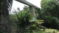 Jembatan Mengerikan di Sumatera Utara