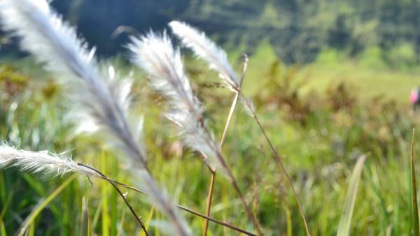 Jepret! Ayo Bergaya di Bukit Teletubbies, Bromo