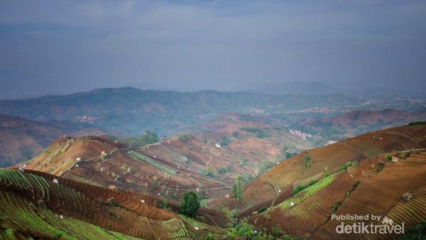 Kamu Pasti Terpesona dengan Terasering Argapura Ini, DIjamin!