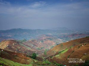 Kamu Pasti Terpesona dengan Terasering Argapura Ini, DIjamin!