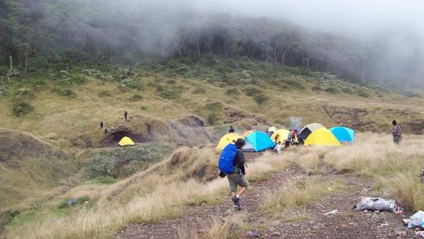 Keindahan Gunung Gede yang Selalu Menghipnotis