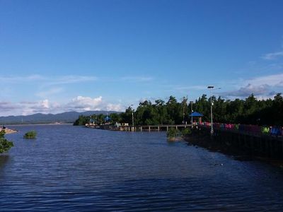 Kendari Punya Hutan Mangrove Instagrammable