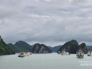 Kisah Naga Penjaga di Teluk Vietnam