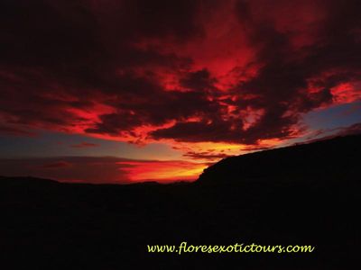 Komodo National Park