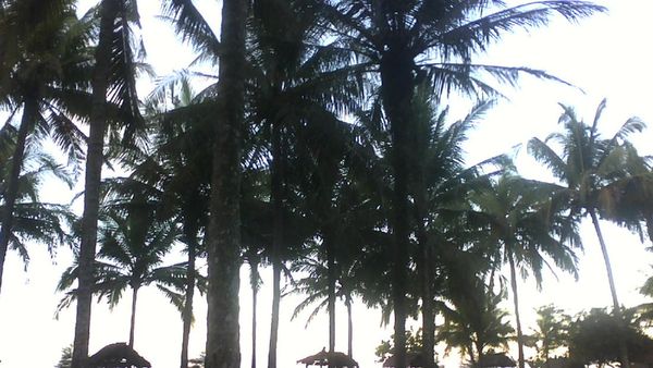 Kunjungi Pantai Pasie Jambak, Lebih Asyik dengan Sepeda