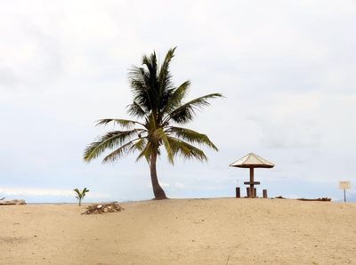 Laguna Helau, Bentangan Pasir Putih di Lampung Selatan