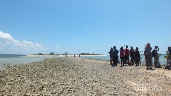 Lestarikan Alam Dengan Menanam Bakau di Gili Kondo