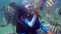 Libur Akhir Tahun ke Bali, Coba Diving di Tanjung Benoa