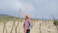 Liburan Akhir Tahun ke Papandayan Saja, Seru!