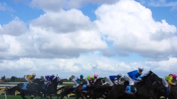 Liburan ke Australia Bisa Nonton Pacuan Kuda