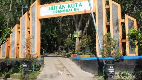 Liburan Murah Saat Mudik di Trenggalek: Hutan Kota