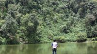 Liburan Nyepi, ke Puncak Yuk!