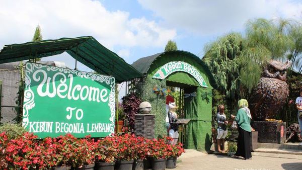 Long Weekend ke Lembang, Ada Kebun Bunga yang Cantik