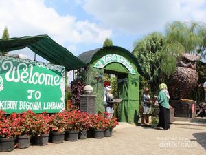 Long Weekend ke Lembang, Ada Kebun Bunga yang Cantik