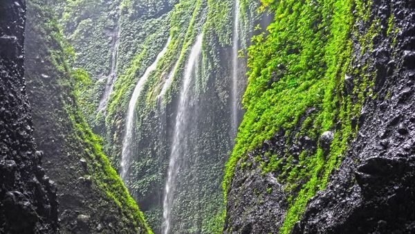 Madakaripura, Air Terjun Kesukaan Gajah Mada