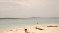 Main-main Bareng Hiu di Karimunjawa