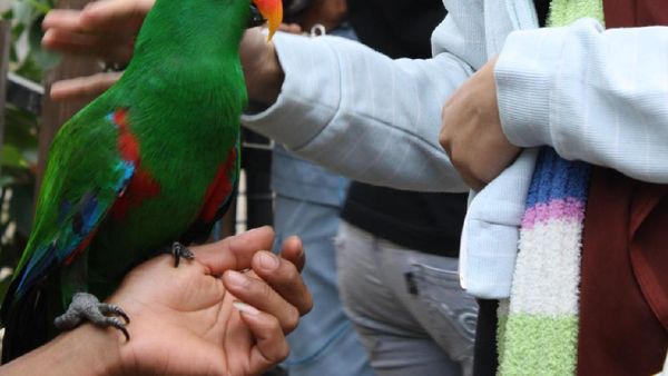 Main-main Bareng Satwa Lucu di Malang