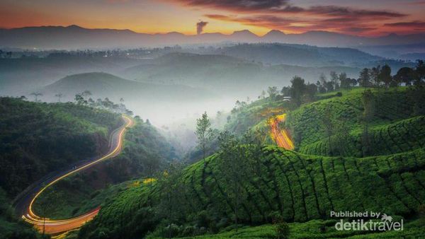 Manjain Mata Dulu di Kebun Teh Cukul Bandung