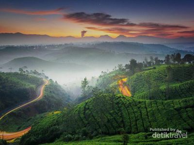 Manjain Mata Dulu di Kebun Teh Cukul Bandung