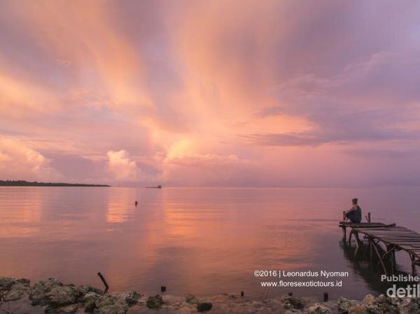Melihat Damainya Alam Indonesia di Mentawai