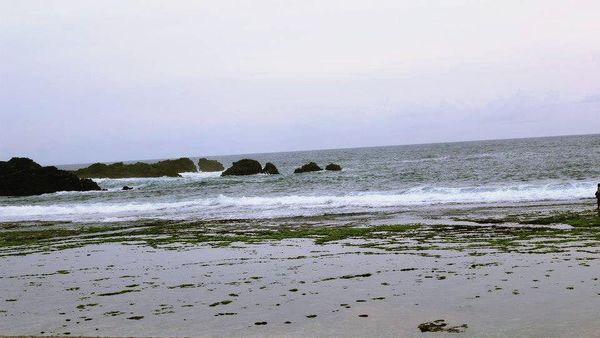 Menatap Kegaharan Karang di Pantai Siung, Gunungkidul