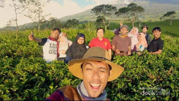 Mencari Secercah Kesejukan di Kebun Teh Kemuning