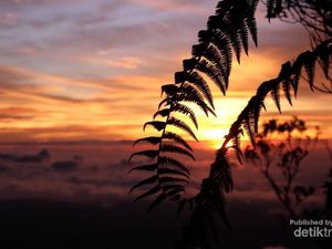 Mendaki Gunung Talamau, Pernah Coba?