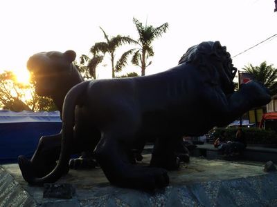 Mengaum Pada Senja