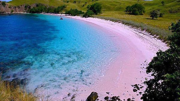 Mengunjungi Rumah Si Kadal Raksasa di Flores