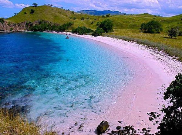 Mengunjungi Rumah Si Kadal Raksasa di Flores