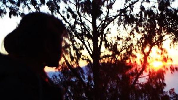 Menikmati Indahnya Bunga Edelweis di Gunung Raung