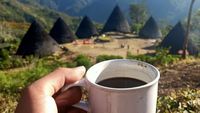 Menikmati Kopi Wae Rebo di Negeri Atas Awan Flores