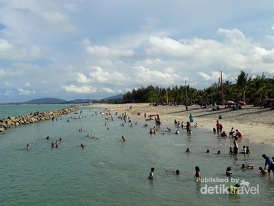 Menilik Penangkaran Penyu di Bangka