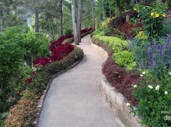 Merasakan Puncak Jawa Barat Ala Wonogiri