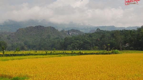 Misteri Jadi Keunikan di Tana Toraja