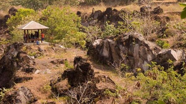 Mungkin Cuma Kuningan yang Punya, Hutan dari Batu