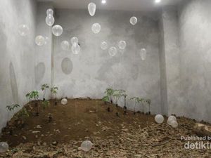 Museum Ini Punya Kebun Karet Mini