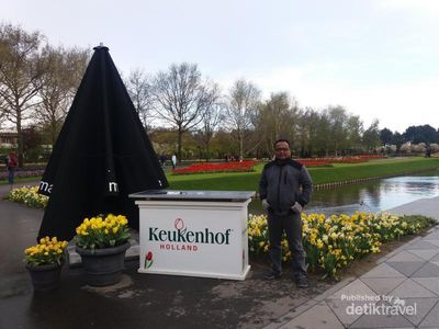 Musim Semi di Belanda, Bisa Lihat Tulip Mekar di Keukenhof